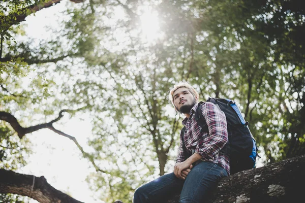 Young Hipster Man Sitting Tree Branch Park — Stock Photo, Image