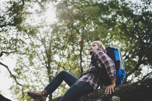 Young Hipster Man Sitting Tree Branch Park — Stock Photo, Image