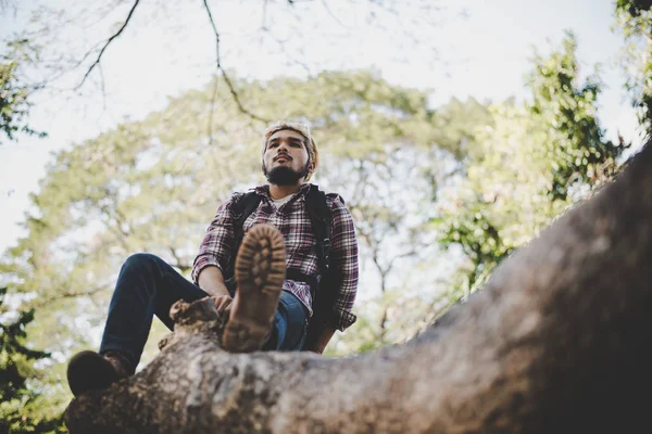 Young Hipster Man Sitting Tree Branch Park — Stock Photo, Image