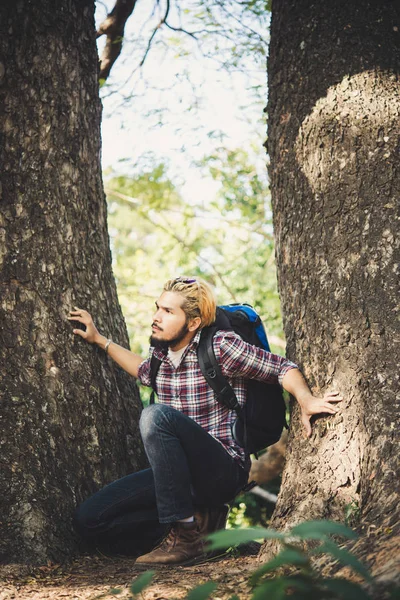 Man Hiker Take Rest While Hiking Forest Hiking Adventure Nature — Stock Photo, Image