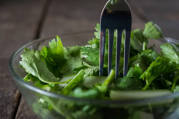 Salade Coriandre Fraîche Coriandre Avec Salade Concombre Concept Alimentation Saine — Photo