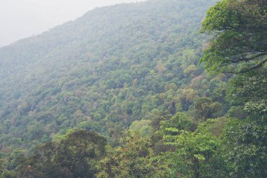 Sabah sislerin altında dağlar.