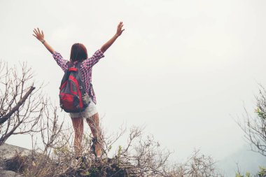 Uzun yürüyüşe çıkan kimse kaldırdı elleriyle bir dağın tepesinde duran ve doğa manzarayı sırt çantası ile.