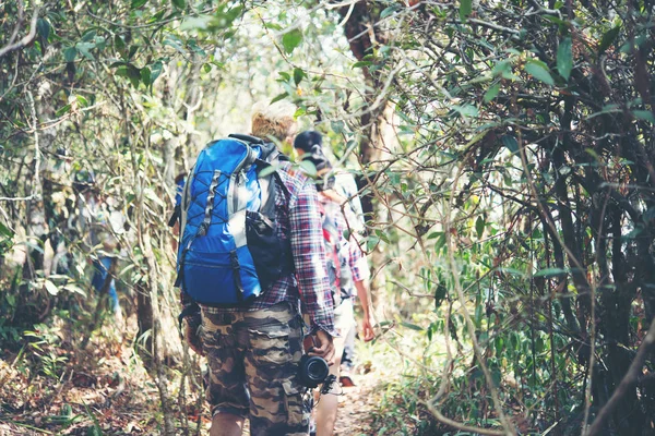 Ormanda Sırt Çantaları Ile Arkadan Yürüme Arkadaşları Yakın Çekim — Stok fotoğraf
