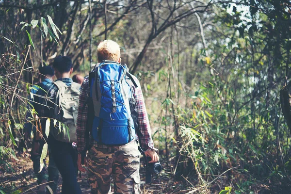 Primer Plano Amigos Caminando Con Mochilas Bosque Desde Atrás — Foto de Stock