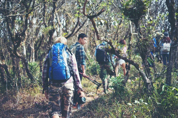 Close Amigos Andando Com Mochilas Floresta Volta — Fotografia de Stock