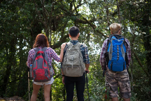 Ormanda Sırt Çantaları Arkadan Ayakta Yürüyüşçü Arkadaş Yakın Çekim — Stok fotoğraf