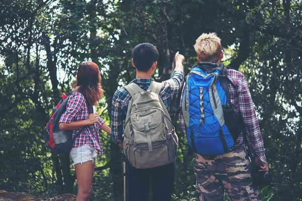 Primer Plano Los Excursionistas Amigos Pie Con Mochilas Bosque Desde — Foto de Stock