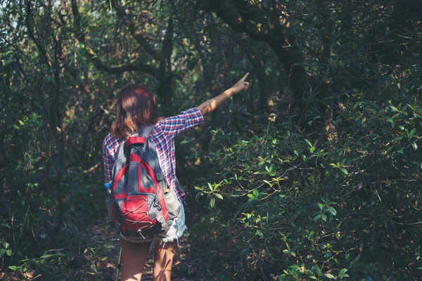 Genç Hipster Kadın Hiker Vahşi Dağ Orman Manzara Keyfi — Stok fotoğraf