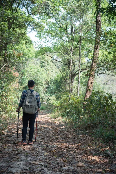 Junge Wanderer Mit Stöcken Auf Bergpfad Unterwegs Reisende Überwinden Abenteuerreise — Stockfoto