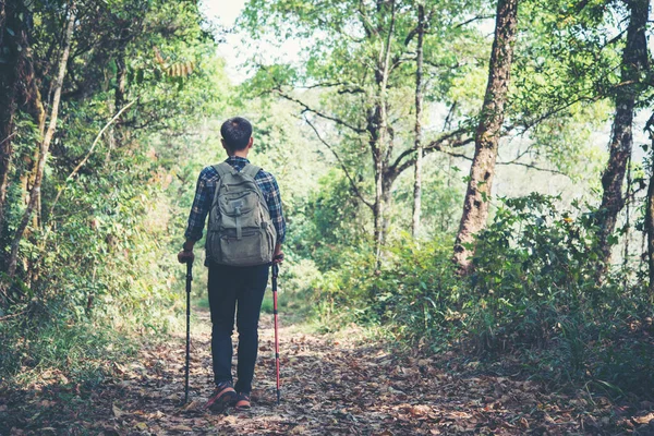 Joven Excursionista Con Postes Subiendo Por Sendero Montaña Viajero Superar — Foto de Stock