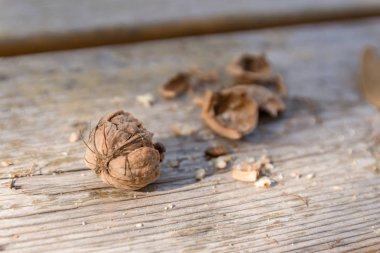 Sonbahar zamanı konsepti. Tasarım için sonbahar arka planı. Sonbahar hasat mevsimi. Cevizli ve yapraklı kırsal zemin. Üst Görünüm.