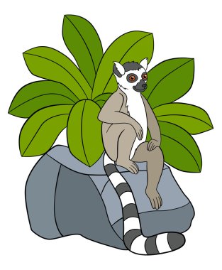 Çocuklar için karikatür hayvanlar. Küçük şirin lemur taş.