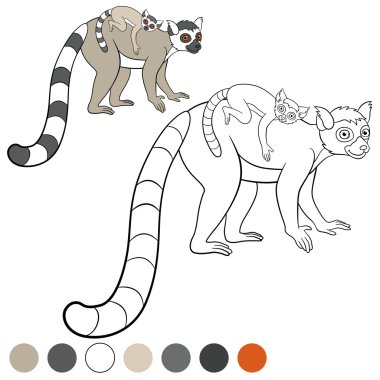 Color Me: lemur. Onun küçük şirin bebek ile anne lemur.
