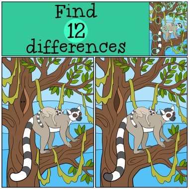 Eğitici bir oyun: bul farklılıklar. Onun bebek ile anne lemur.
