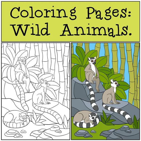 Coloring Pages: Wild Animals. Three little cute lemurs. — Stockový vektor