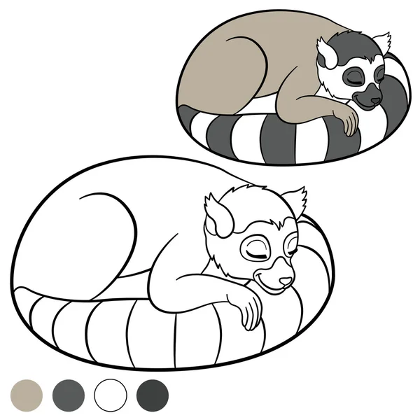 Color me: lemur. Little cute lemur sleeps. — Stock Vector