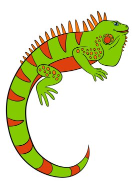 Karikatür hayvanlar. Sevimli yeşil iguana gülümsüyor.