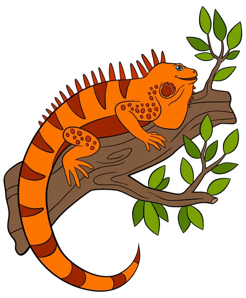 Cartoon animals. Cute orange iguana sits on the tree branch. — Stock Vector