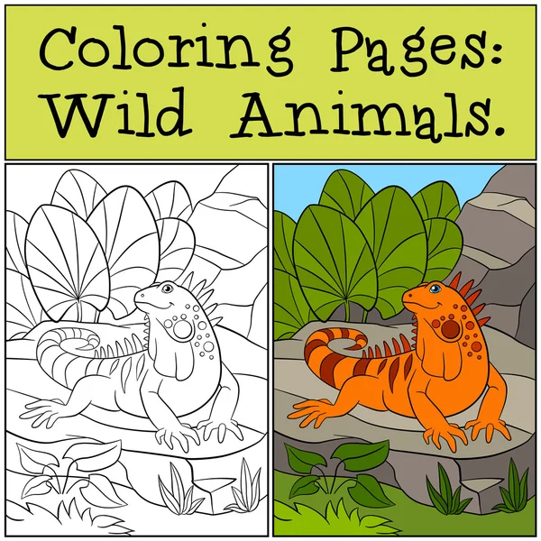 Страницы раскраски: Дикие животные. Симпатичная оранжевая игуана . — стоковый вектор