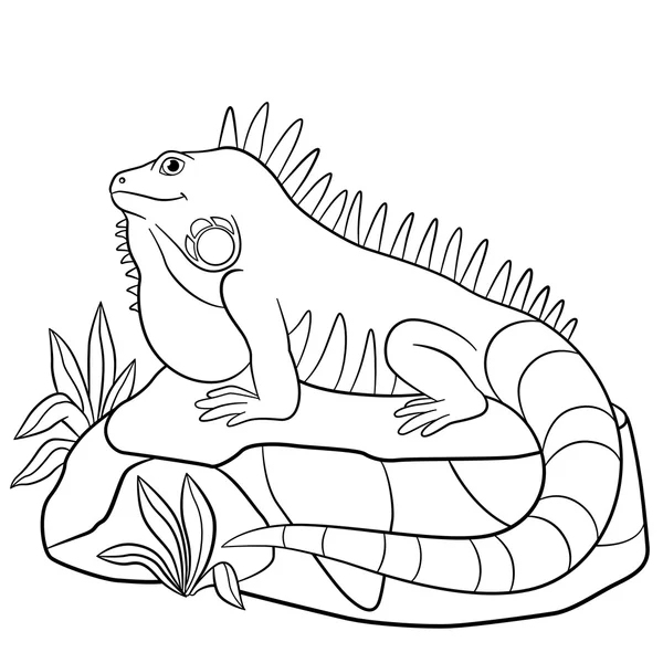 Coloring pages. Cute iguana sits on the rock. — Διανυσματικό Αρχείο
