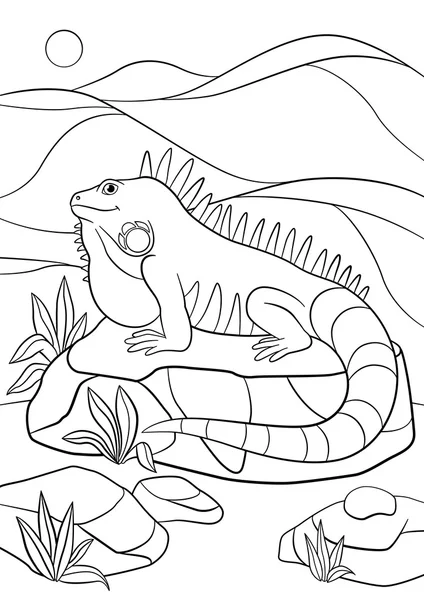 Coloring pages. Cute iguana sits on the rock. — Stock vektor