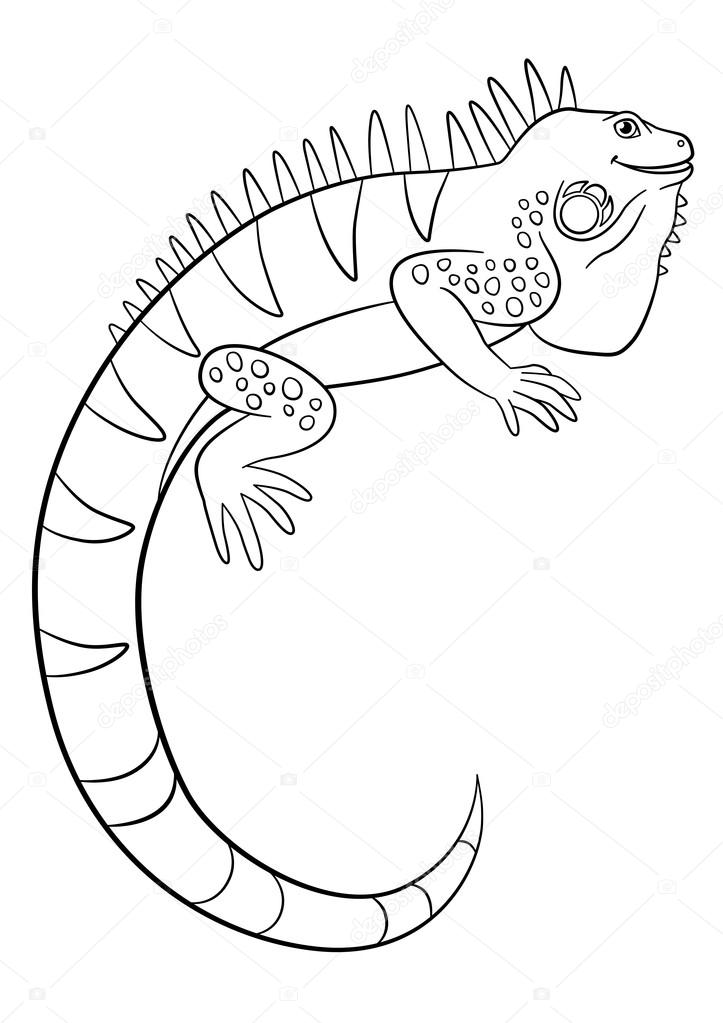87 Top Coloring Pages Animals Iguana For Free