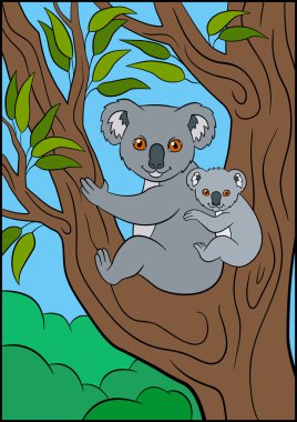 Karikatür hayvanlar. Anne koala onunla oturur küçük şirin bebek.