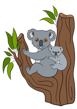 Karikatür hayvanlar. Anne koala onunla oturur küçük şirin bebek.