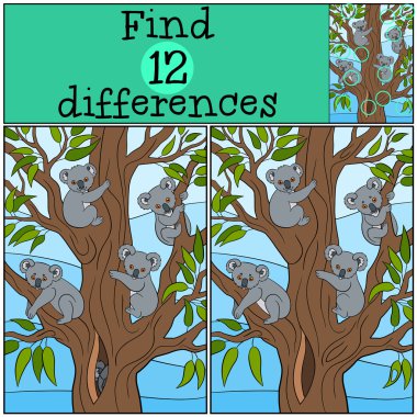 Eğitici bir oyun: bul farklılıklar. Dört koala bebek gülümsemek.