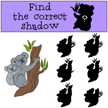Eğitici bir oyun: doğru gölge bulmak. Bab ile anne koala