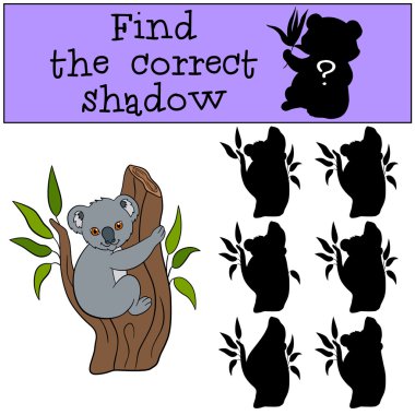 Eğitici bir oyun: doğru gölge bulmak. Küçük şirin bebek koal