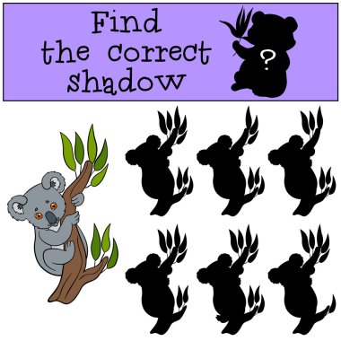 Eğitici bir oyun: doğru gölge bulmak. Küçük şirin bebek koal