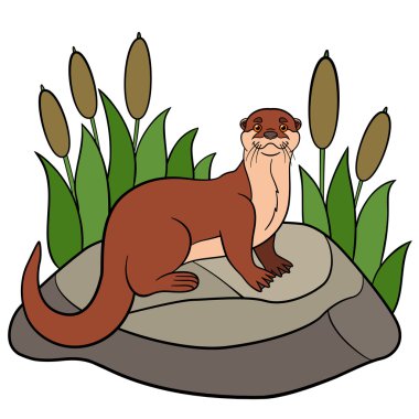 Karikatür hayvanlar. Küçük şirin su samuru taşa standları.