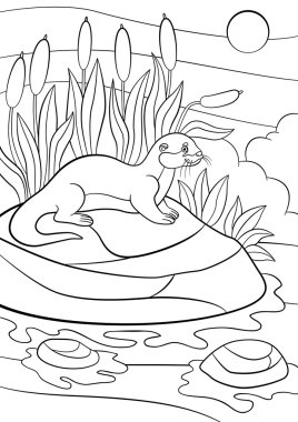 Boyama sayfaları. Küçük şirin su samuru taşa standları.