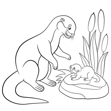 Coloring pages. Mother otter looks at her cute baby. clipart