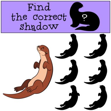 Eğitici bir oyun: doğru gölge bulmak. Küçük şirin su samuru swi