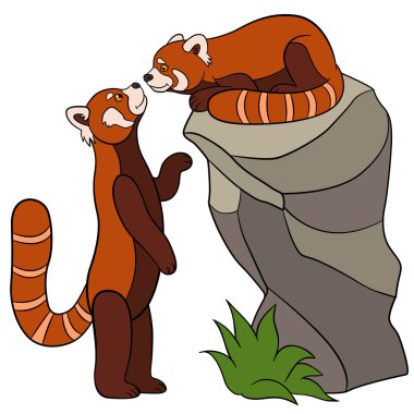 Çizgi film vahşi hayvanlar. İki küçük şirin kırmızı pandalar.