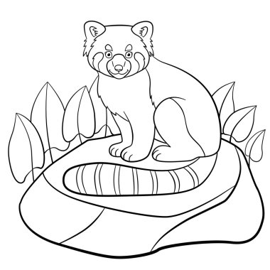 Boyama sayfaları. Küçük şirin kırmızı panda gülümsüyor.