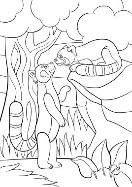 Boyama sayfaları. İki küçük şirin kırmızı pandalar.