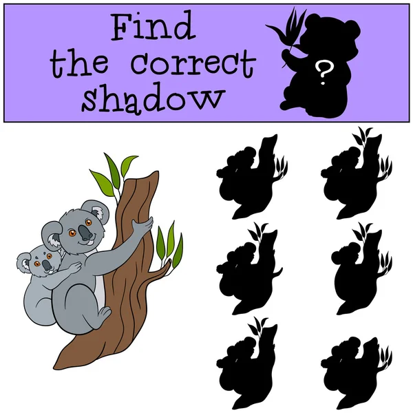 Educational game: Find the correct shadow. Mother koala with bab — ストックベクタ