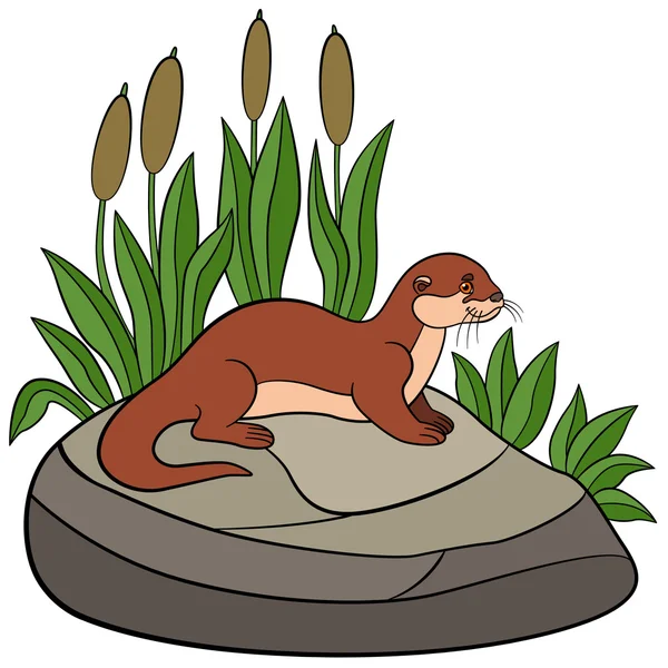Animales de dibujos animados. Pequeña nutria linda se para en la piedra . — Archivo Imágenes Vectoriales