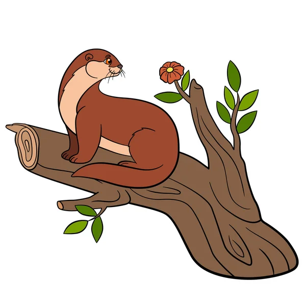 Cartoon animals. Little cute otter on the tree branch. — Stockový vektor