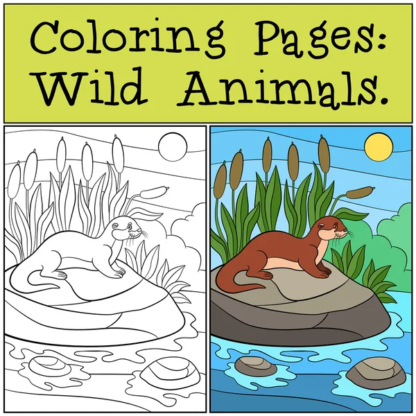 Coloring Pages: Wild Animals. Little cute otter smiles. — Stockový vektor