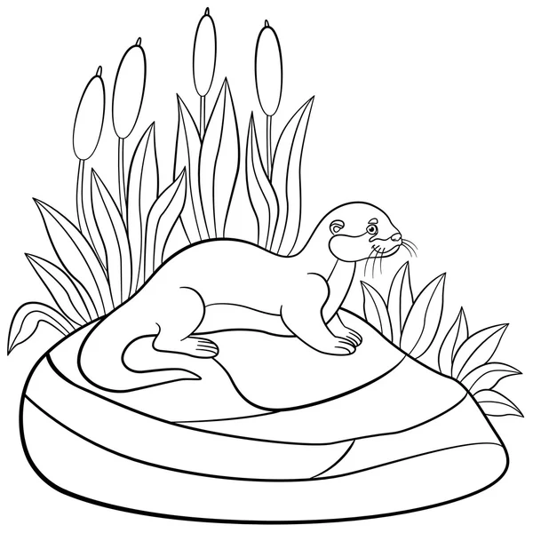 Coloring pages. Little cute otter stands on the stone. — Stock Vector