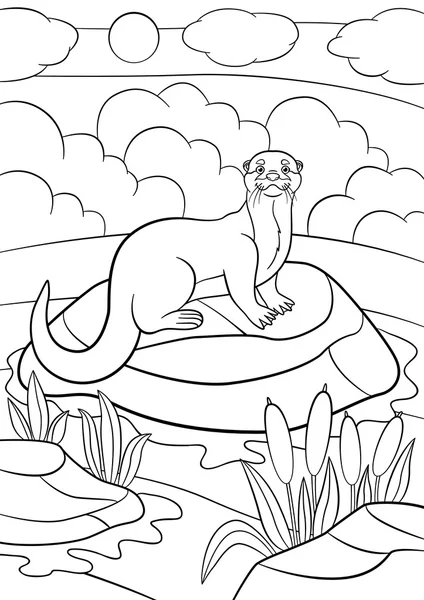 Coloring pages. Little cute otter stands on the stone. — Stockový vektor