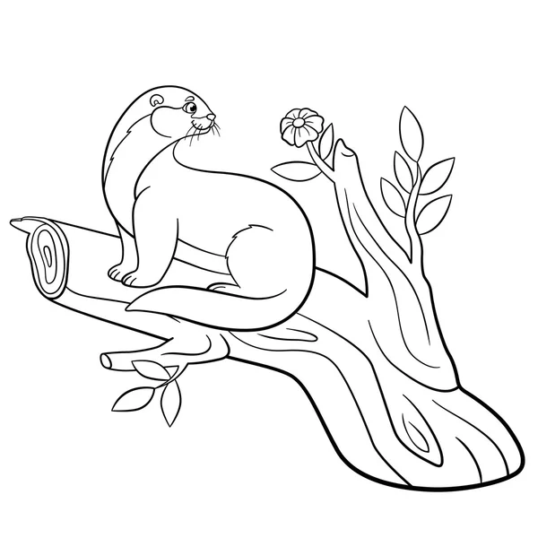 Coloring pages. Little cute otter sits on the tree branch. — Stock vektor