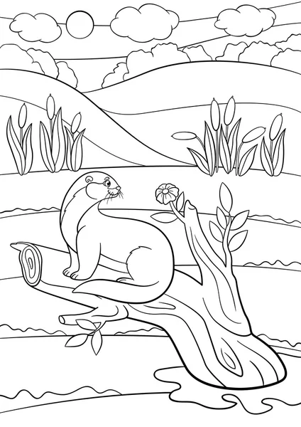 Coloring pages. Little cute otter sits on the tree branch. — Stock vektor