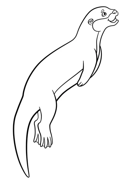 Rivier Otter Stockvectors Rechtenvrije Rivier Otter Illustraties
