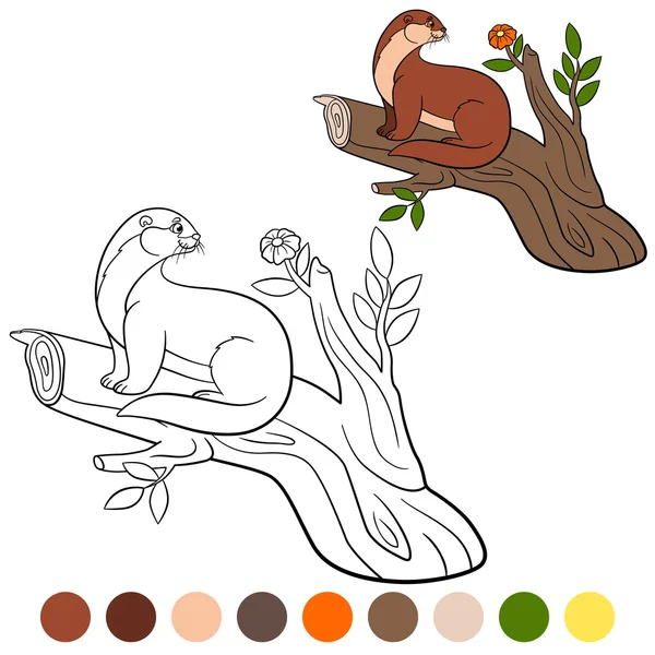 Página para colorir. Pequena lontra bonito senta-se no galho da árvore . — Vetor de Stock